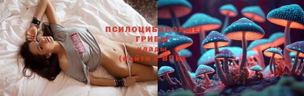 гидропоника Липки