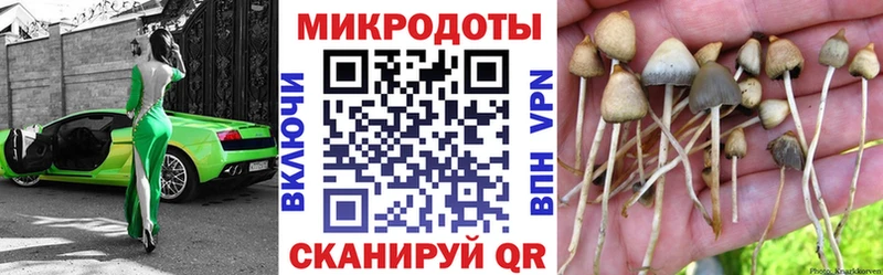 Псилоцибиновые грибы Cubensis KRAKEN ONION Карачев